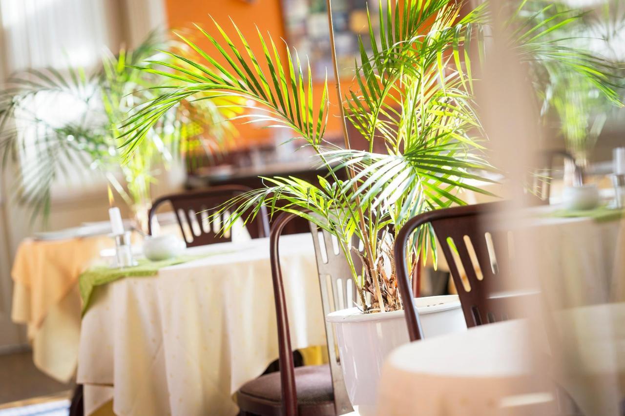 Kurhaus Hotel Bad Bentheim Ngoại thất bức ảnh
